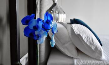 Alexander Inn Resort